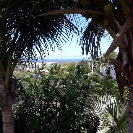 Chez Sonia Et Franck Bed & Breakfast Étang-Salé les Bains Dış mekan fotoğraf