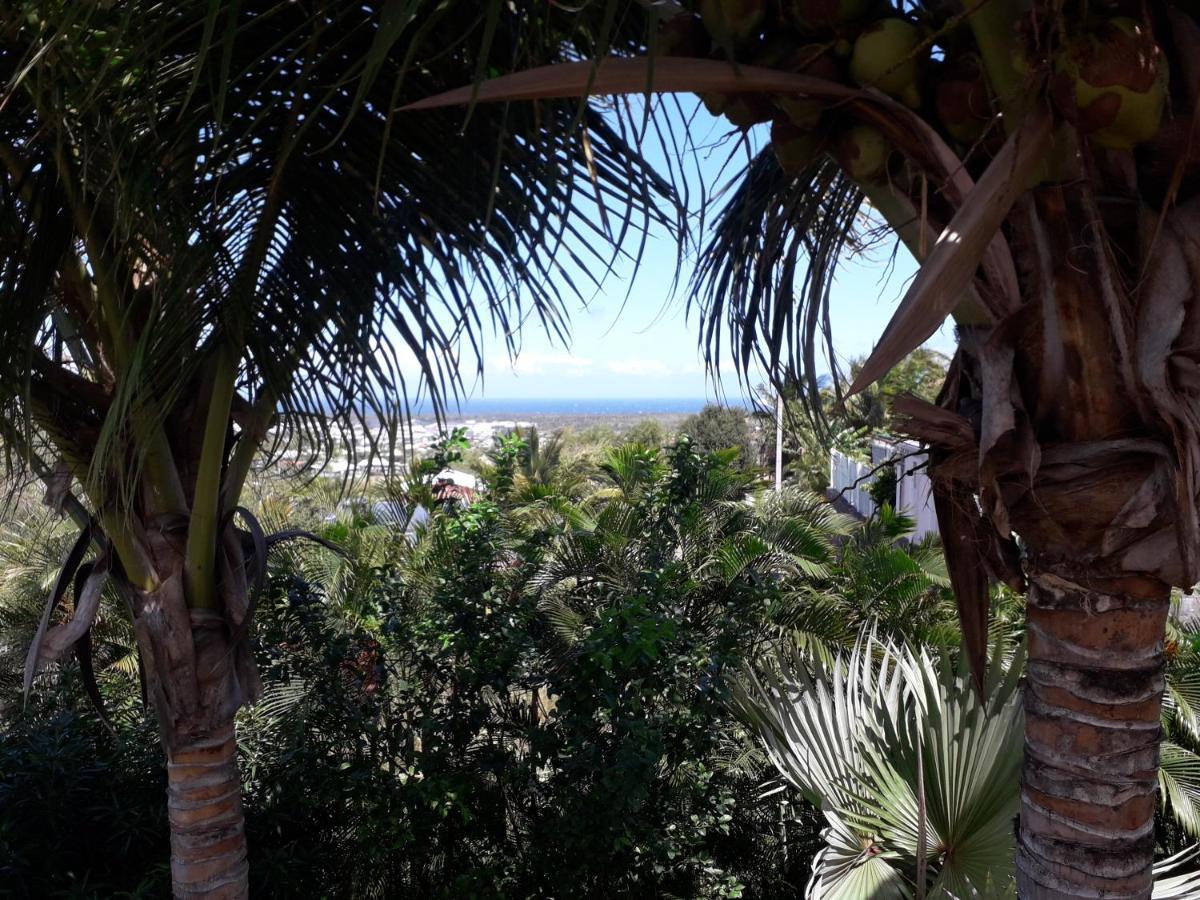Chez Sonia Et Franck Bed & Breakfast Étang-Salé les Bains Dış mekan fotoğraf