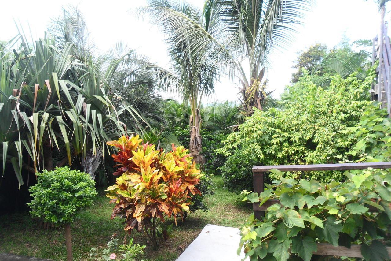 Chez Sonia Et Franck Bed & Breakfast Étang-Salé les Bains Dış mekan fotoğraf
