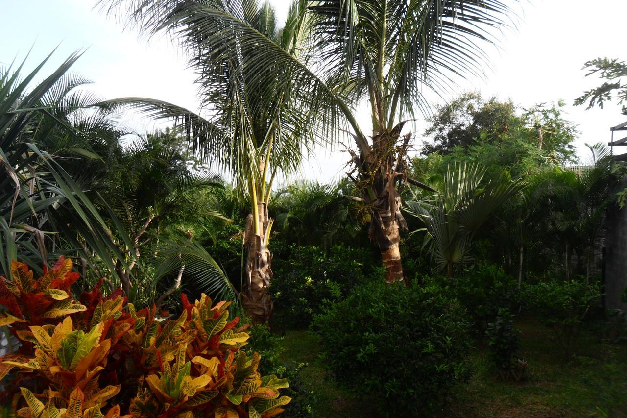 Chez Sonia Et Franck Bed & Breakfast Étang-Salé les Bains Dış mekan fotoğraf